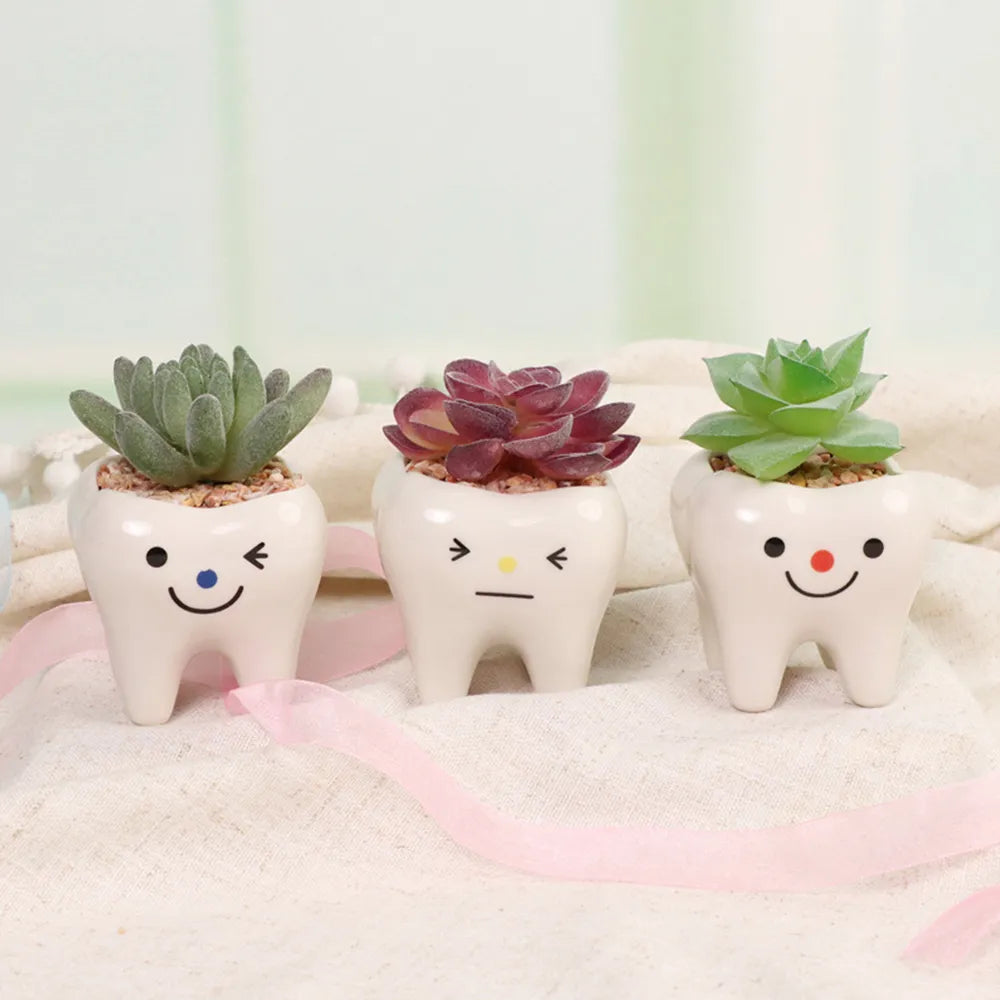 Cute Tooth Flowerpots - Ceramic