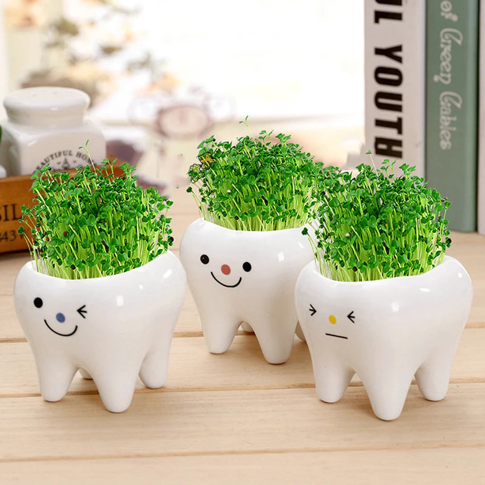 Cute Tooth Flowerpots - Ceramic