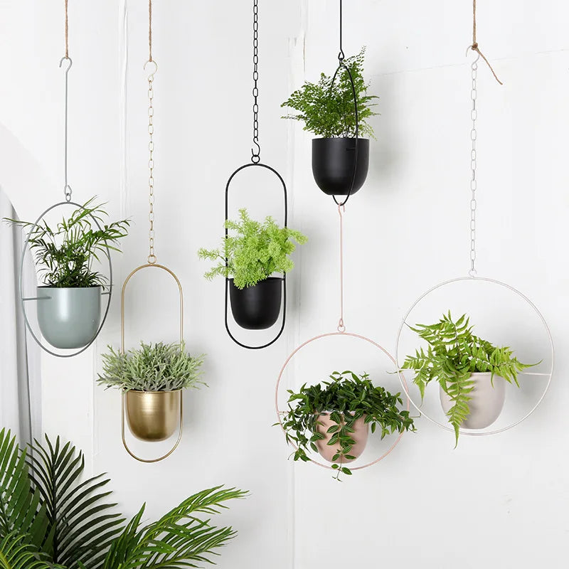 Metal Hanging Chain Flower Basket Plant