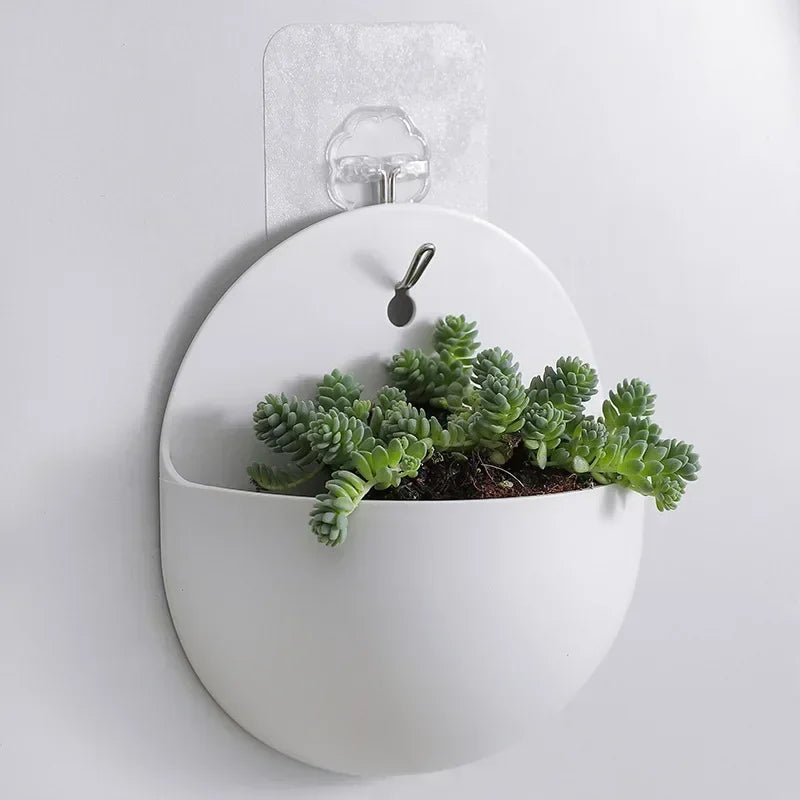 Vase Hydroponic Wall Mounted  Hanging Flower